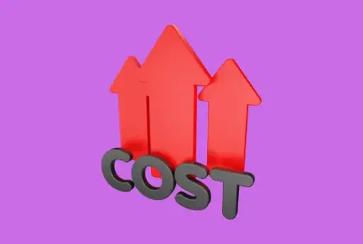 Client Costs